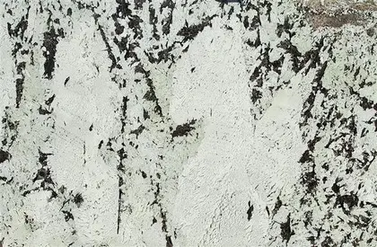 Alaska White Granite 