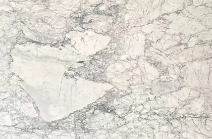 Arabescato Fiorentino Marble 