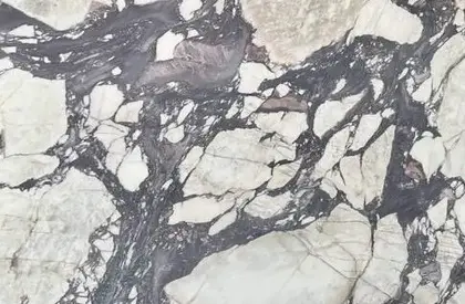 Calacatta Viola Marble 