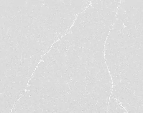 Desert silver Quartz Silestone