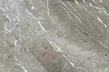 Fiore Di Bosco Light Marble 