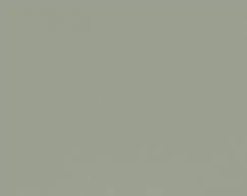 Posidonia Green Quartz Silestone