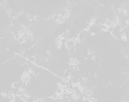 Roma Grey Classic Quartz stone 