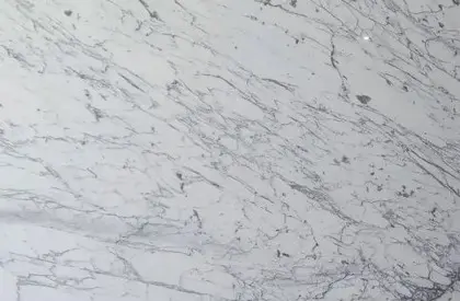 Statuarietto Polished Marble 