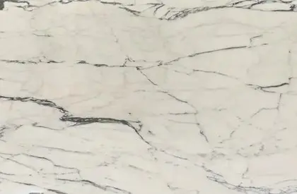 Statuario Paonazzo Marble 