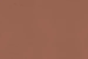 Arcilla Red Quartz Silestone Worktops Replacement